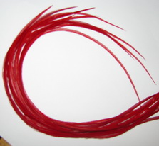 ���� Dry Fly (��� ����� ���) 10 �� �������  , ������ � 16